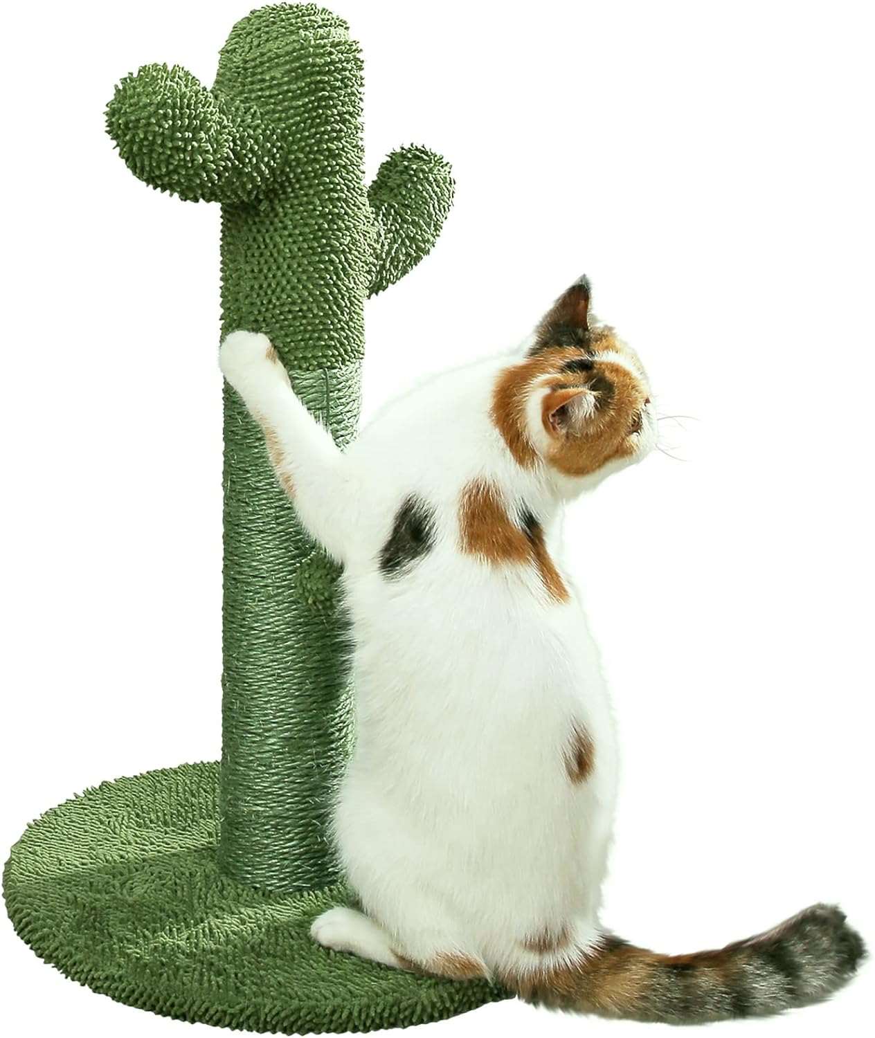 Cat Scratching Post with Teaser Ball